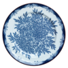 Ostindia Floris image