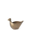 Coot image