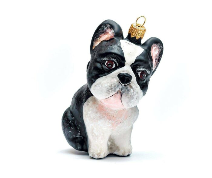 Fransk bulldog