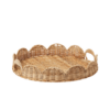 Classic Scallop image