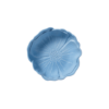 Poppy image