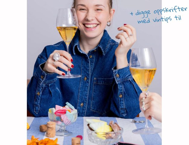 Hvilken vin til hva