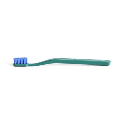 Hay_Tann Toothbrush pine green_blue